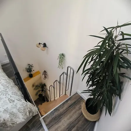 Ma Douce Feniere Saint-Rémy-de-Chargnat